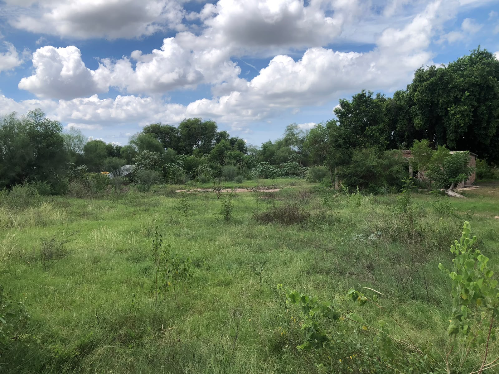 TERRENO EN VENTA EJIDO EL PORVENIR PARA FINCA CAMPESTRE